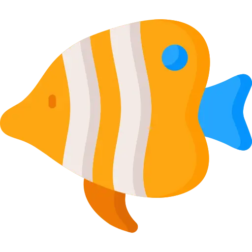 Peixe amor aos pets
